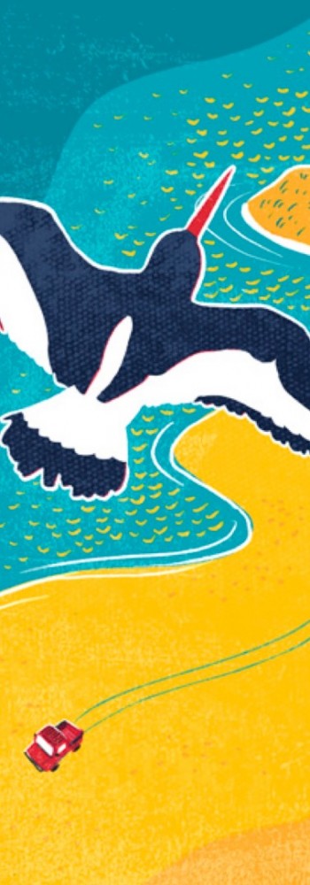 Boekenleggers duinwachters voor 0